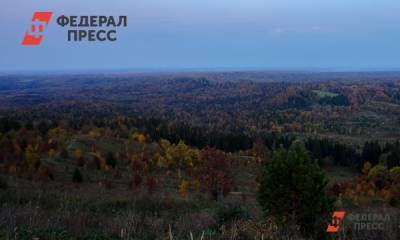 Глеб Никитин - В Нижегородской области лесовосстановительные работы проведены на площади в 20 тысяч гектаров - fedpress.ru - Нижегородская обл. - Нижний Новгород