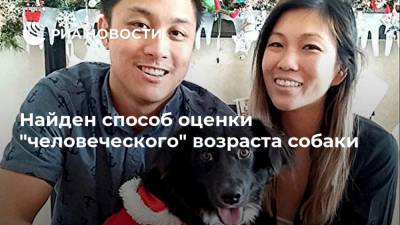 Найден способ оценки "человеческого" возраста собаки - ria.ru - Москва - США - Сан-Диего