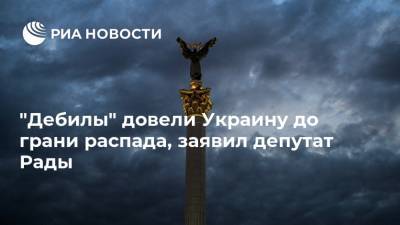 Владимир Зеленский - Петр Порошенко - Вадим Рабинович - "Дебилы" довели Украину до грани распада, заявил депутат Рады - ria.ru - Москва - Украина