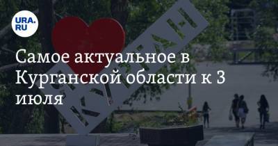 Вадим Шумков - Самое актуальное в Курганской области к 3 июля. Губернатор недоволен явкой на голосование, курганцы выбирают дизайн парка - ura.news - Курганская обл. - Курган - Шадринск