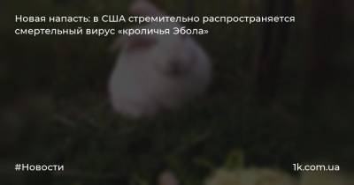 Новая напасть: в США стремительно распространяется смертельный вирус «кроличья Эбола» - 1k.com.ua - США - Техас - шт. Колорадо - шт. Невада - Юта - шт. Калифорния - шт. Аризона - штат Нью-Мексико