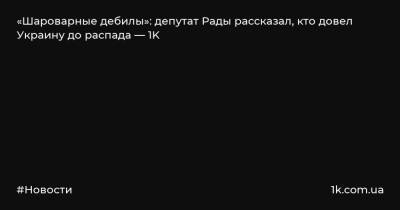 Владимир Зеленский - Вадим Рабинович - «Шароварные дебилы»: депутат Рады рассказал, кто довел Украину до распада — 1K - 1k.com.ua - Украина