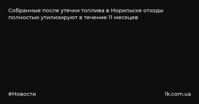 Сергей Дяченко - Собранные после утечки топлива в Норильске отходы полностью утилизируют в течение 11 месяцев - 1k.com.ua - Украина - Норильск