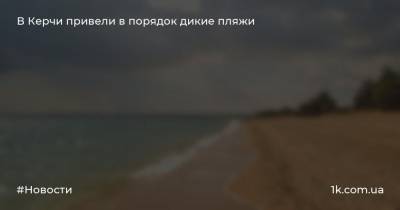 Сергей Бороздин - В Керчи привели в порядок дикие пляжи - 1k.com.ua - Москва - Россия - Крым - Керчь