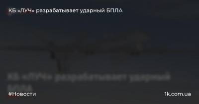 Олег Коростелев - КБ «ЛУЧ» разрабатывает ударный БПЛА - 1k.com.ua - Украина