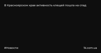 В Красноярском крае активность клещей пошла на спад - 1k.com.ua - Красноярский край - Красноярск