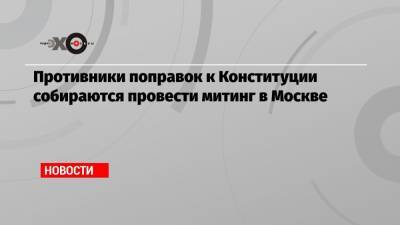 Элла Памфилова - Андрей Пивоваров - Противники поправок к Конституции собираются провести митинг в Москве - echo.msk.ru - Москва - Россия