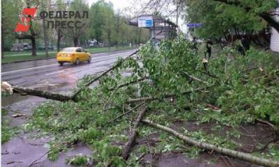 Из-за жары на Томск обрушился сильный ливень и град - fedpress.ru - Томск