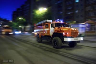 В Томске сотрудники МЧС спасли двух лошадей во время пожара на конном стадионе - tv2.today - р-н Кировский - Томск - Золотая Орда