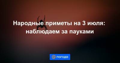 Екатерина Гура - Народные приметы на 3 июля: наблюдаем за пауками - news.mail.ru