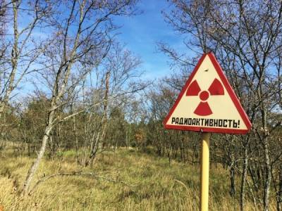 Дмитрий Песков - МАГАТЭ не может установить источник повышения радиации в Северной Европе у границ РФ - govoritmoskva.ru - Норвегия - Россия - Швеция - Финляндия - Голландия