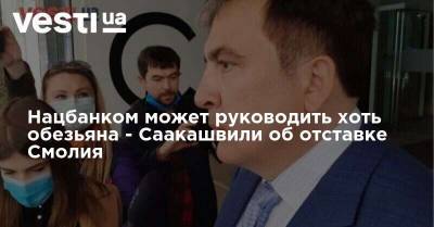 Михаил Саакашвили - Яков Смолий - Яков Смолия - Нацбанком может руководить хоть обезьяна - Саакашвили об отставке Смолия - vesti.ua - Украина