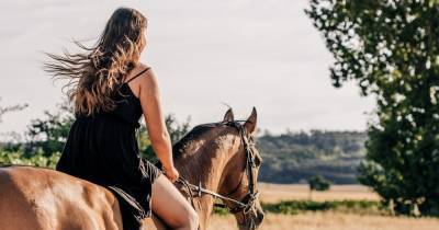 Ученые выяснили истоки гендерного неравенства в коневодстве - popmech.ru - шт. Колорадо