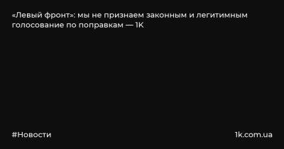 Элла Памфилова - «Левый фронт»: мы не признаем законным и легитимным голосование по поправкам — 1K - 1k.com.ua - Россия