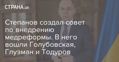 Максим Степанов - Ольга Голубовская - Степанов создал совет по внедрению медреформы. В него вошли Голубовская, Глузман и Тодуров - strana.ua - Украина