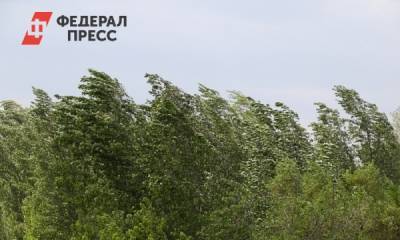 Хакасию накроет ливень и град. Объявлено штормовое предупреждение - fedpress.ru - Абакан - респ. Хакасия