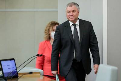Вячеслав Володин - В Госдуме начали работу над законами из поправок к Конституции - lenta.ru