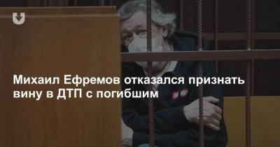 Михаил Ефремов - Сергей Захаров - Эльман Пашаев - Михаил Ефремов отказался признать вину в ДТП с погибшим - news.tut.by - Москва