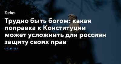 Трудно быть богом: какая поправка к Конституции может усложнить для россиян защиту своих прав - forbes.ru