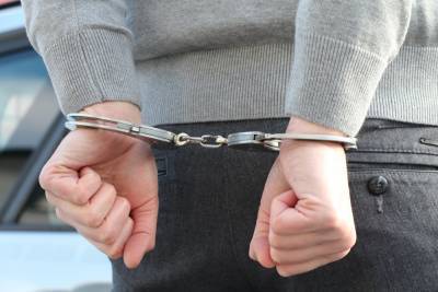 Обвиняемого в покушении на изнасилование заключили под стражу в Москве - vm.ru - Москва - Россия