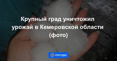 Екатерина Гура - Крупный град уничтожил урожай в Кемеровской области (фото) - news.mail.ru - Россия - Красноярский край - Кемеровская обл. - Волгоградская обл. - Томск