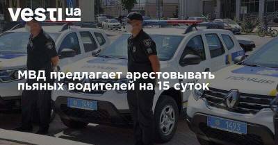 МВД предлагает арестовывать пьяных водителей на 15 суток - vesti.ua