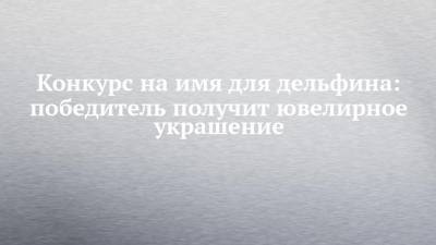 Конкурс на имя для дельфина: победитель получит ювелирное украшение - chelny-izvest.ru