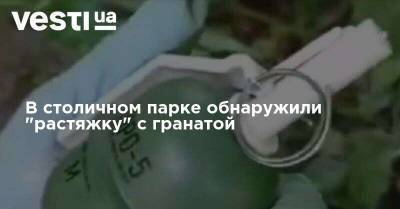 В столичном парке обнаружили "растяжку" с гранатой - vesti.ua - Столица