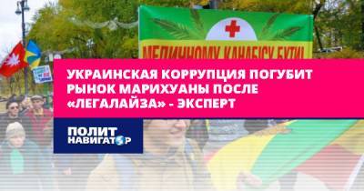 Украинская коррупция погубит рынок марихуаны после «легалайза»... - politnavigator.net - Россия - Украина