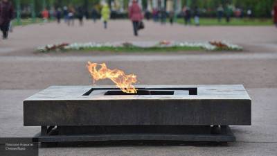 Участники пикника у Вечного огня в Кронштадте понесли наказание - newinform.com - Кронштадт