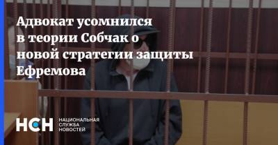 Ксения Собчак - Михаил Ефремов - Эльман Пашаев - Адвокат усомнился в теории Собчак о новой стратегии защиты Ефремова - nsn.fm - Москва