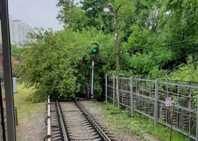 Движение на Филевской линии метро восстановлено - m24.ru - Москва