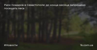 Михаил Развожаев - Риск пожаров в Севастополе: до конца месяца запрещено посещать леса - 1k.com.ua - Россия - Украина - Севастополь