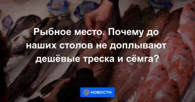Александр Волков - Рыбное место. Почему до наших столов не доплывают дешёвые треска и сёмга? - news.mail.ru - Норвегия - Россия - Мурманск