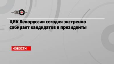 Виталий Шкляров - Валерий Цепкало - Светлана Тихановская - ЦИК Белоруссии сегодня экстренно собирает кандидатов в президенты - echo.msk.ru - Белоруссия