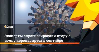 Алексей Боровков - Эксперты спрогнозировали вторую волну коронавируса всентябре - ridus.ru - Санкт-Петербург