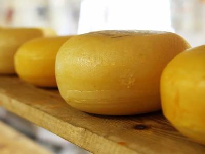 Названы главные признаки качественного натурального сыра - live24.ru - Италия