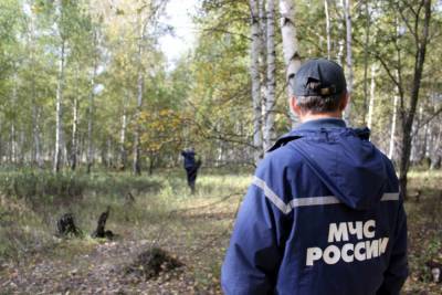 Женщина заблудилась с двумя детьми в карельском лесу - gubdaily.ru - район Кемский