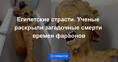 Египетские страсти. Ученые раскрыли загадочные смерти времен фараонов - news.mail.ru - Египет