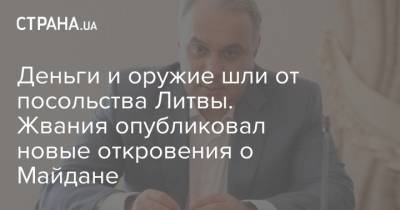 Петр Порошенко - Деньги и оружие шли от посольства Литвы. Жвания опубликовал новые откровения о Майдане - strana.ua - Литва