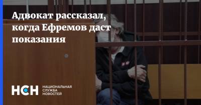 Михаил Ефремов - Эльман Пашаев - Адвокат рассказал, когда Ефремов даст показания - nsn.fm