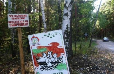 Ограничения на посещение леса на Ямале продлили почти на три недели - interfax-russia.ru - окр. Янао