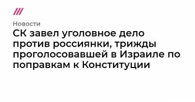 Элла Памфилова - Павел Лобков - СК завел уголовное дело против россиянки, трижды проголосовавшей в Израиле по поправкам к Конституции - tvrain.ru - Россия - Израиль - Тель-Авив