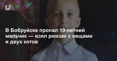 В Бобруйске пропал 10-летний мальчик — взял рюкзак с вещами и двух котов - news.tut.by - Бобруйск