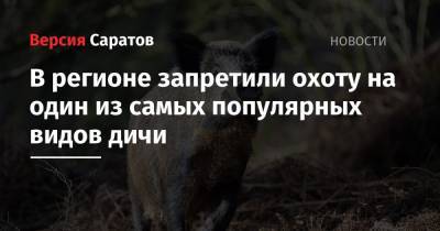 Александр Стрелюхин - В регионе запретили охоту на один из самых популярных видов дичи - nversia.ru - Саратовская обл.