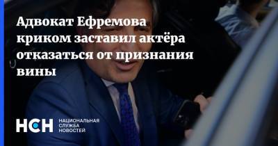 Михаил Ефремов - Эльман Пашаев - Адвокат Ефремова криком заставил актёра отказаться от признания вины - nsn.fm - Россия