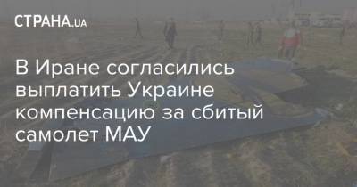 Аббас Мусави - В Иране согласились выплатить Украине компенсацию за сбитый самолет МАУ - strana.ua - Украина - Иран - Тегеран