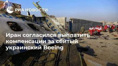 Аббас Мусави - Иран согласился выплатить компенсации за сбитый украинский Boeing - ria.ru - США - Украина - Киев - Англия - Германия - Швеция - Иран - Канада - Афганистан - Тегеран