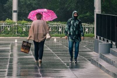 Роман Вильфанд - В Москве июль может стать самым дождливым за всю историю метеонаблюдений - aif.ru - Россия