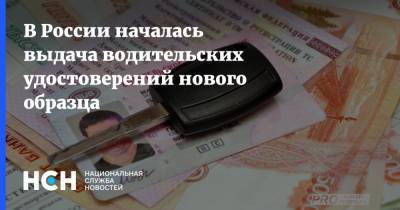 В России началась выдача водительских удостоверений нового образца - nsn.fm - Россия